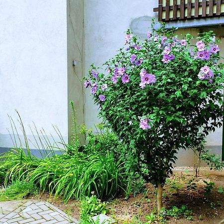 Room In City Center Halle With Shared Bathroom & Kitchen - Free Wifi, Netflix, Ipad & Ground Floor Luaran gambar